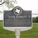 David Burkett Photo 22