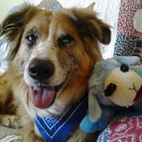 Clinton Heath Photo 3