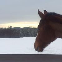 Jennifer Ferree Photo 8