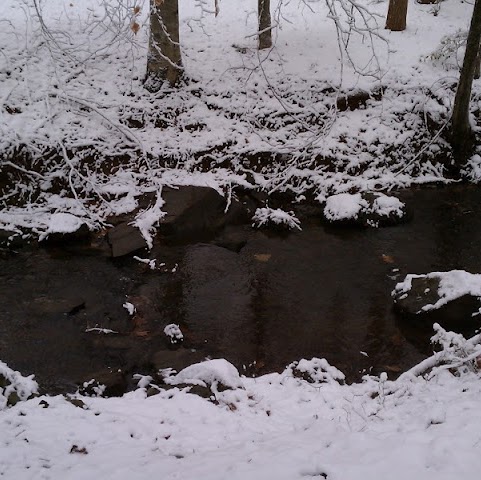 Brian Woods Photo 13