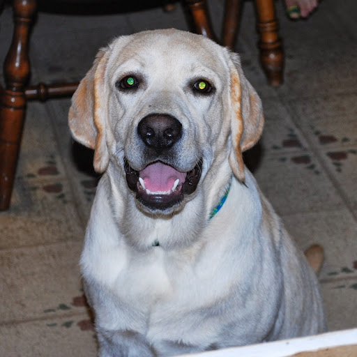 Steven Keller Photo 18