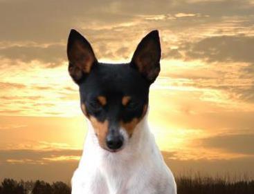 Terry Lawrence Photo 14