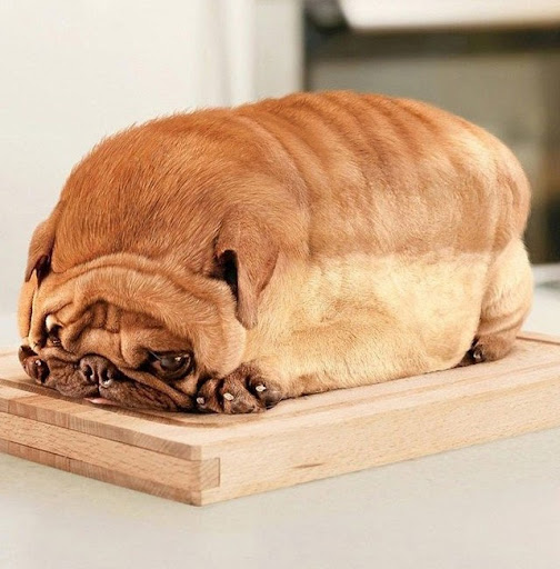 Nicholas Gomez Photo 31