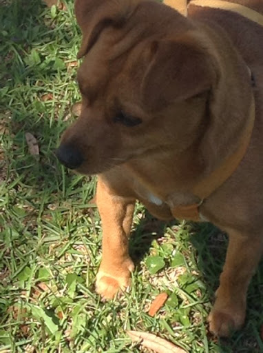 Jackie Hopkins Photo 23