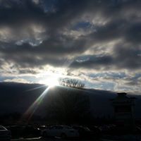 Shannon Penrod Photo 14