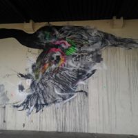 Fred Foreman Photo 20