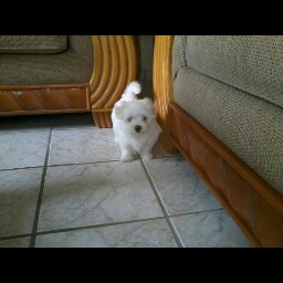 Cynthia Rosado Photo 31