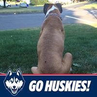 Robin Demaio Photo 17