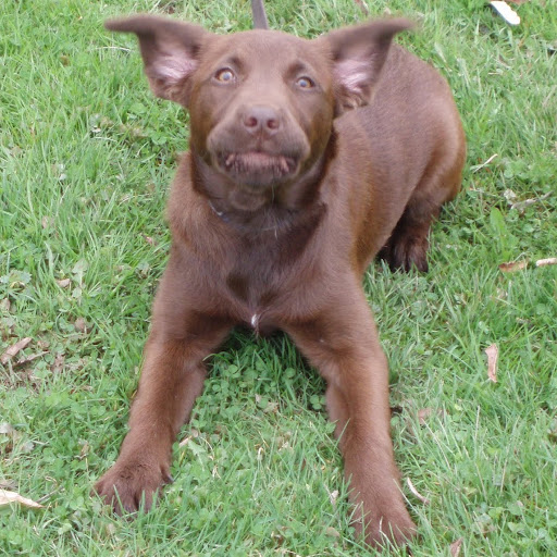 Andy Clements Photo 31