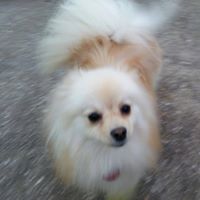 Margaret Slusher Photo 2