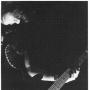 Timothy Murphy Photo 2