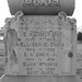 Bert Davis Photo 14