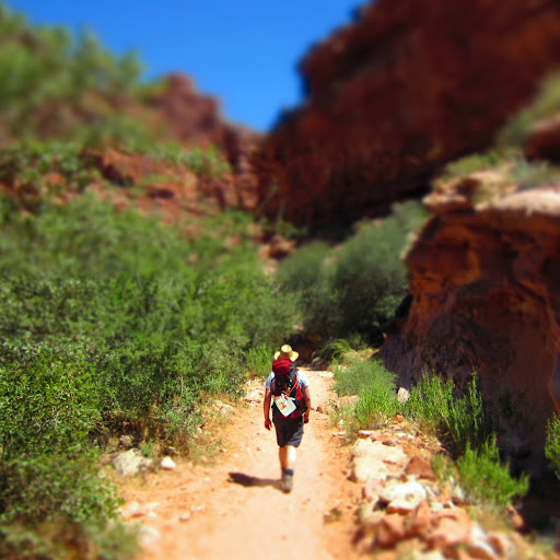 Matthew Whitaker Photo 38