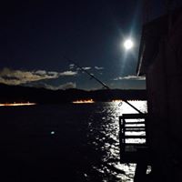 Jonathan Steele Photo 44