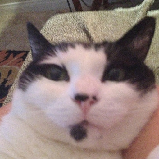 Cathy Baker Photo 28