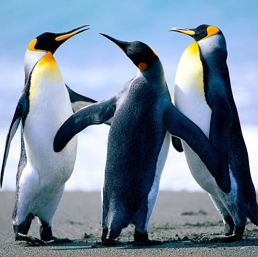 Marilyn Groves Photo 15