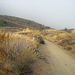 Ellsworth Long Photo 7