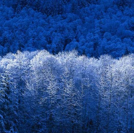 Sherry Parks Photo 21