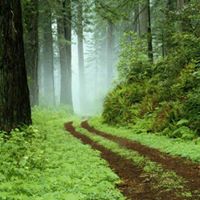 Phillip Burns Photo 29