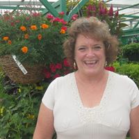 Mary Lynn Photo 20 Mary Lynn Photo 20