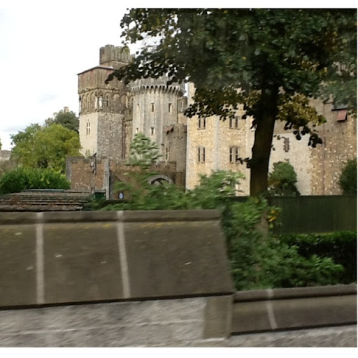 Marlene Wood Photo 32