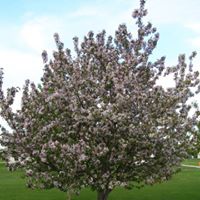 Katherine Hofer Photo 6