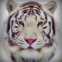 Gail Mccarty Photo 10