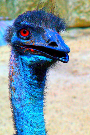 Jennifer Hammer Photo 30 Jennifer Hammer Photo 30