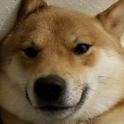 Cindy Hwang Photo 33