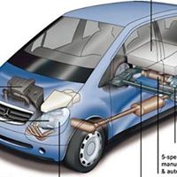 Patrick Neil Photo 7