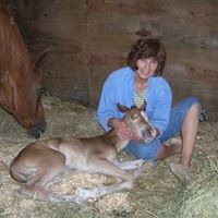 Sandra Draper Photo 23