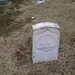 John Malloy Photo 38