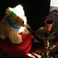 Ralph Wilkinson Photo 25