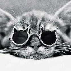 David Partin Photo 36