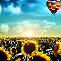 Stacy Whitaker Photo 15