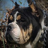 Rebecca Coffee Photo 18