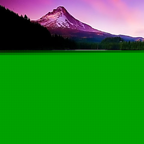 Kathy Reynolds Photo 4