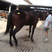 Debbie Slaughter Photo 15