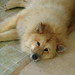 Bonnie Strayer Photo 15