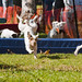 Ken Hinds Photo 19