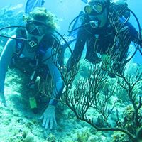 Michelle Kiser Photo 32