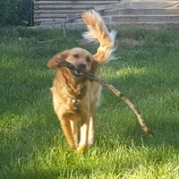 Annette Briggs Photo 29