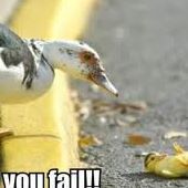 Eric Lindquist Photo 42