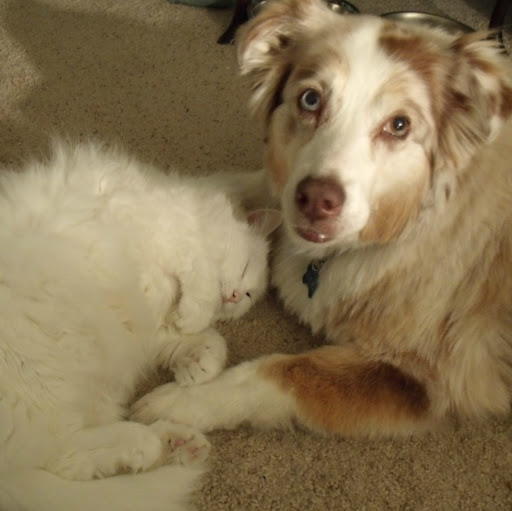 Kathy Wagner Photo 13