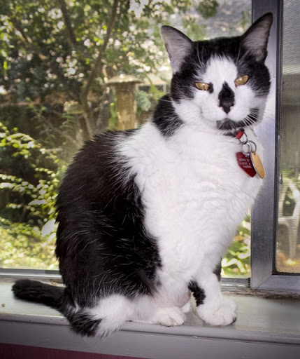 Lawrence Monroe Photo 17