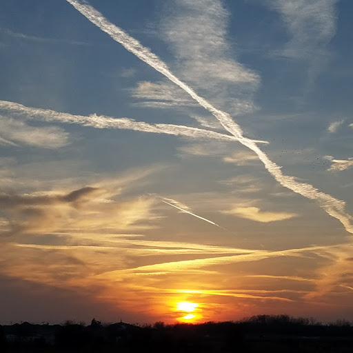 Dennis Fields Photo 43