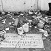 Lance Collier Photo 14