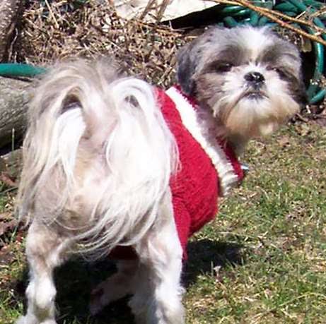 Patricia Foran Photo 2