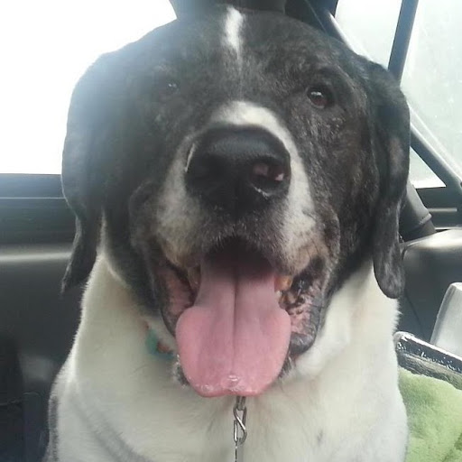 Rufus Norton Photo 4