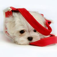 Rebecca Mclaughlin Photo 25